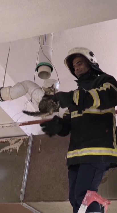 Boru içinde mahsur kalan yavru kedinin yardımına itfaiye ekipleri yetişti (Fotoğraflı) Ahmet Arslan HATAY (İHA) - Hatay'ın Reyhanlı ilçesinde boru içinde mahsur kalan yavru kediyi, itfaiye ekipleri kurtardı. Reyhanlı ilçesi Yenişehir Mahallesi'ndeki öğrenci yurdunda boru içinden gelen miyavlama sesini duyan vatandaşlar durumu itfaiye ekiplerine bildirdi. İhbar üzerine olay yerine Hatay Büyükşehir Belediyesi itfaiye ekipleri sevk edildi. Kısa sürede bölgeye gelen ekiplerin müdahalesiyle boru içinde mahsur kalan yavru kedi kurtarıldı. Kurtarılan yavru kedi, beslenme ve sağlık kontrolünün ardından doğaya bırakıldı.