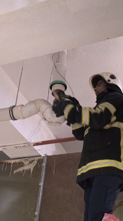 Boru içinde mahsur kalan yavru kedinin yardımına itfaiye ekipleri yetişti (Fotoğraflı) Ahmet Arslan HATAY (İHA) - Hatay'ın Reyhanlı ilçesinde boru içinde mahsur kalan yavru kediyi, itfaiye ekipleri kurtardı. Reyhanlı ilçesi Yenişehir Mahallesi'ndeki öğrenci yurdunda boru içinden gelen miyavlama sesini duyan vatandaşlar durumu itfaiye ekiplerine bildirdi. İhbar üzerine olay yerine Hatay Büyükşehir Belediyesi itfaiye ekipleri sevk edildi. Kısa sürede bölgeye gelen ekiplerin müdahalesiyle boru içinde mahsur kalan yavru kedi kurtarıldı. Kurtarılan yavru kedi, beslenme ve sağlık kontrolünün ardından doğaya bırakıldı.