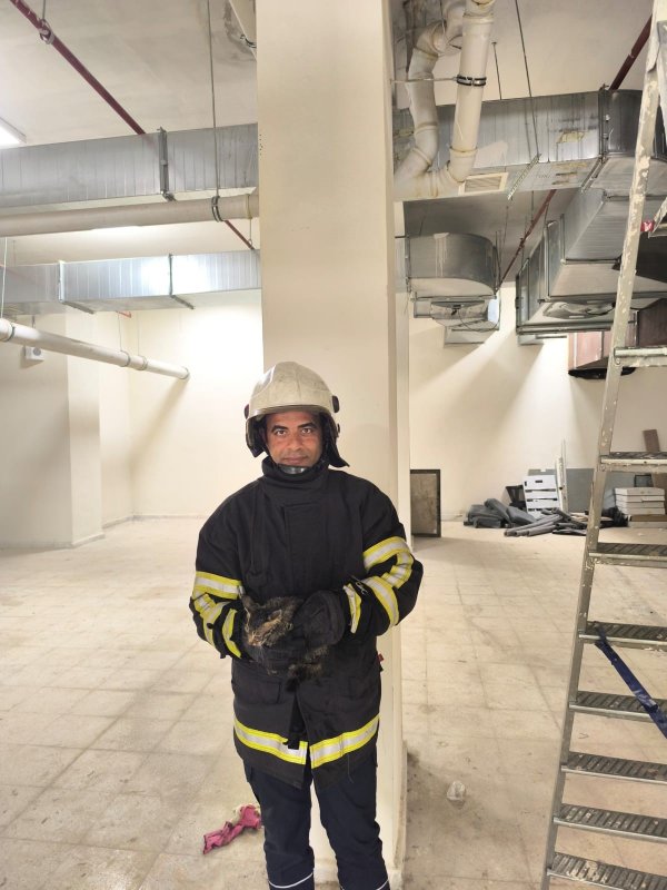 Boru içinde mahsur kalan yavru kedinin yardımına itfaiye ekipleri yetişti (Fotoğraflı) Ahmet Arslan HATAY (İHA) - Hatay'ın Reyhanlı ilçesinde boru içinde mahsur kalan yavru kediyi, itfaiye ekipleri kurtardı. Reyhanlı ilçesi Yenişehir Mahallesi'ndeki öğrenci yurdunda boru içinden gelen miyavlama sesini duyan vatandaşlar durumu itfaiye ekiplerine bildirdi. İhbar üzerine olay yerine Hatay Büyükşehir Belediyesi itfaiye ekipleri sevk edildi. Kısa sürede bölgeye gelen ekiplerin müdahalesiyle boru içinde mahsur kalan yavru kedi kurtarıldı. Kurtarılan yavru kedi, beslenme ve sağlık kontrolünün ardından doğaya bırakıldı.