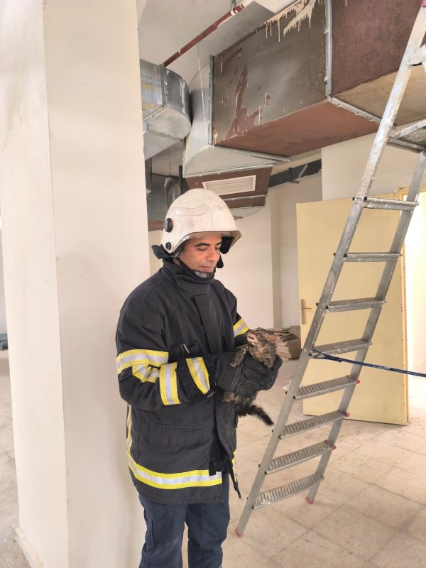 Boru içinde mahsur kalan yavru kedinin yardımına itfaiye ekipleri yetişti (Fotoğraflı) Ahmet Arslan HATAY (İHA) - Hatay'ın Reyhanlı ilçesinde boru içinde mahsur kalan yavru kediyi, itfaiye ekipleri kurtardı. Reyhanlı ilçesi Yenişehir Mahallesi'ndeki öğrenci yurdunda boru içinden gelen miyavlama sesini duyan vatandaşlar durumu itfaiye ekiplerine bildirdi. İhbar üzerine olay yerine Hatay Büyükşehir Belediyesi itfaiye ekipleri sevk edildi. Kısa sürede bölgeye gelen ekiplerin müdahalesiyle boru içinde mahsur kalan yavru kedi kurtarıldı. Kurtarılan yavru kedi, beslenme ve sağlık kontrolünün ardından doğaya bırakıldı.