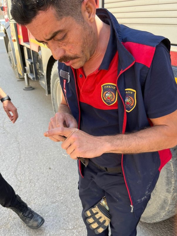 Hatay'da Mahsurdaki Kırlangıç Kurtarıldı