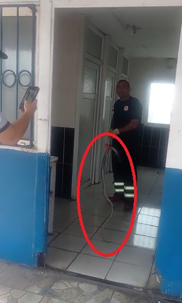 Yerel Haberler, Hayvanlar, Güvenlik, 3-sayfa, İtfaiye, Çevre, hatay, Yaşam, Payas, Son Dakika