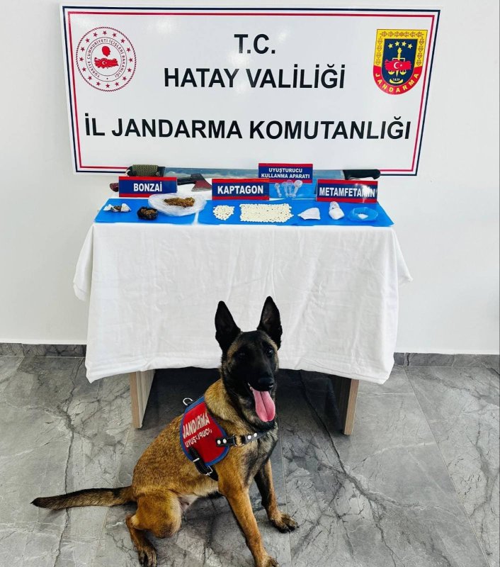 jandarma ekipleri 83 şahsın evinde ve iş yerinde arama yaptı