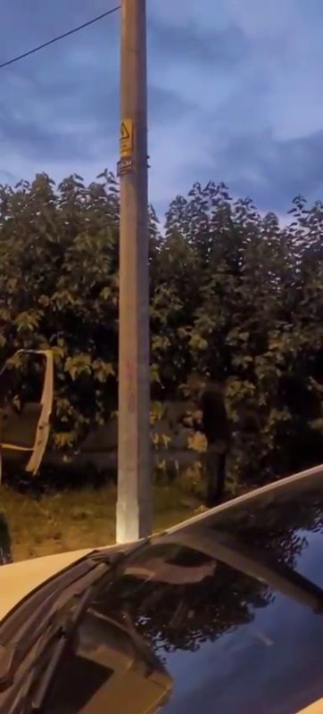 Kazada telef olan horoz için kalp masajı yaptı