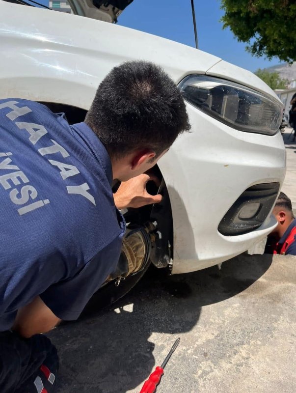 İskenderunda aracın kaputuna giren kediyi itfaiye kurtardı