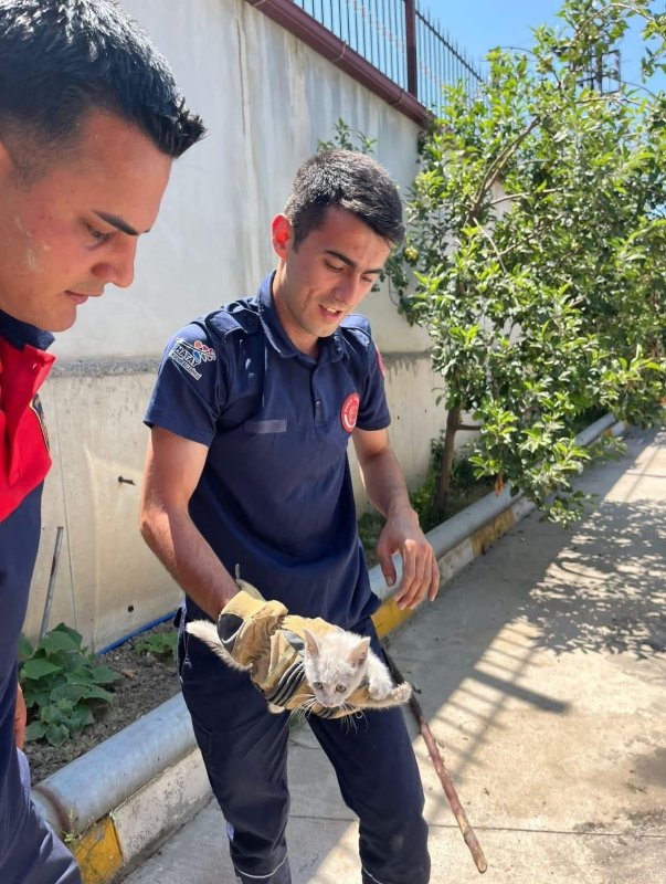 İskenderunda aracın kaputuna giren kediyi itfaiye kurtardı