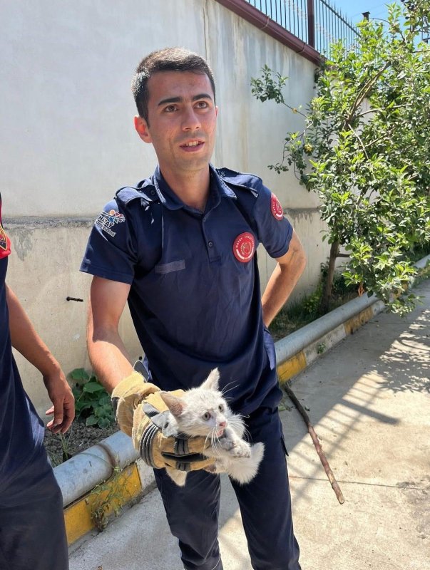 İskenderunda aracın kaputuna giren kediyi itfaiye kurtardı