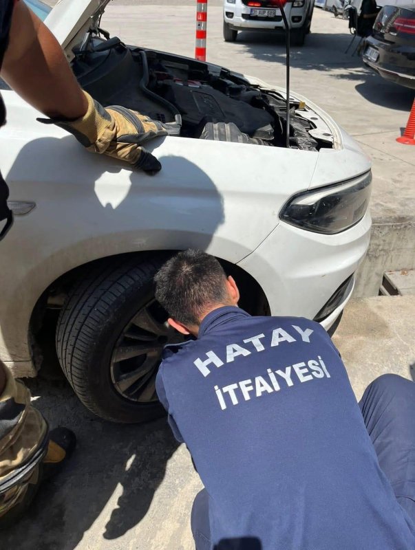 İskenderunda aracın kaputuna giren kediyi itfaiye kurtardı