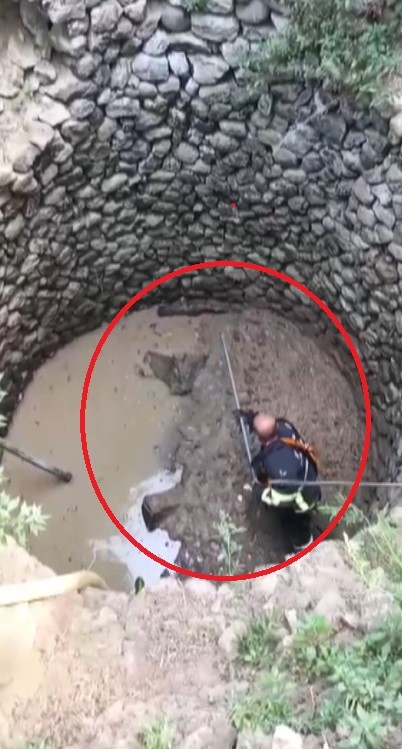 Kuyuya düşüp mahsur kalan çakal kurtarıldı