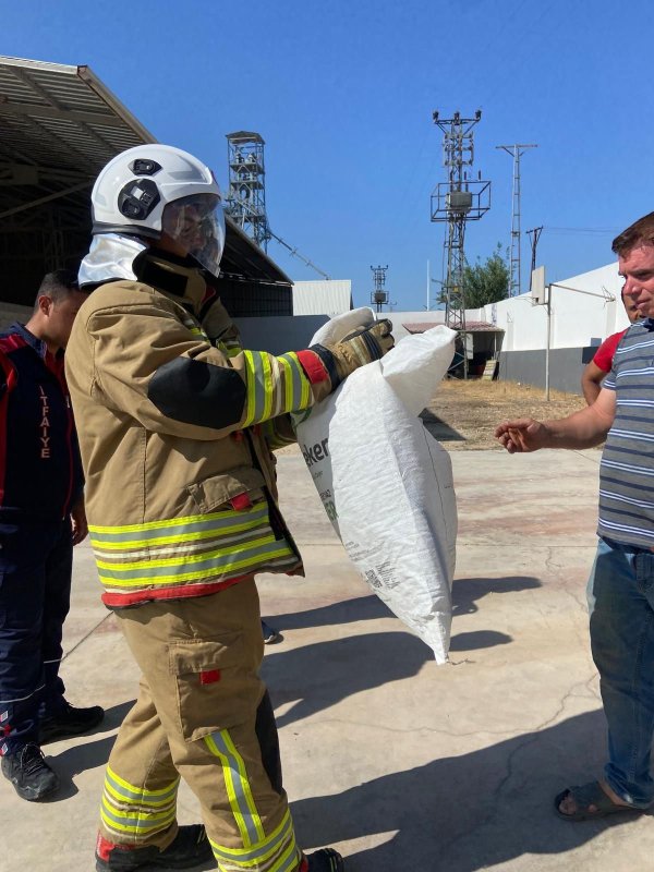 Doğaya bırakıldığı esnada yönünü şaşıran yılan gülümsetti