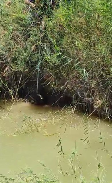 Dereye düşen köpeği itfaiye ekipleri kurtardı