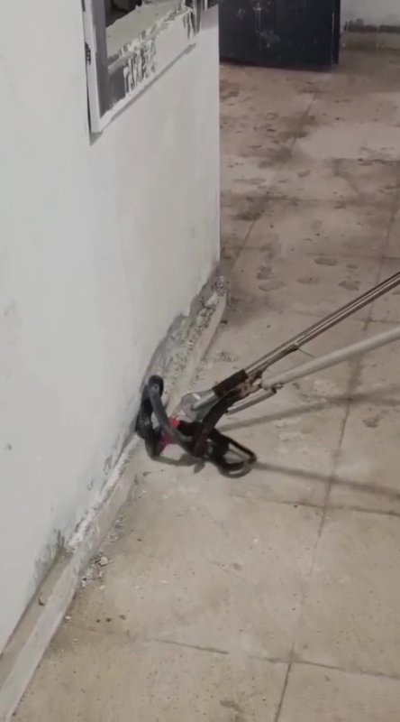 Kazan dairesinde yılan paniği