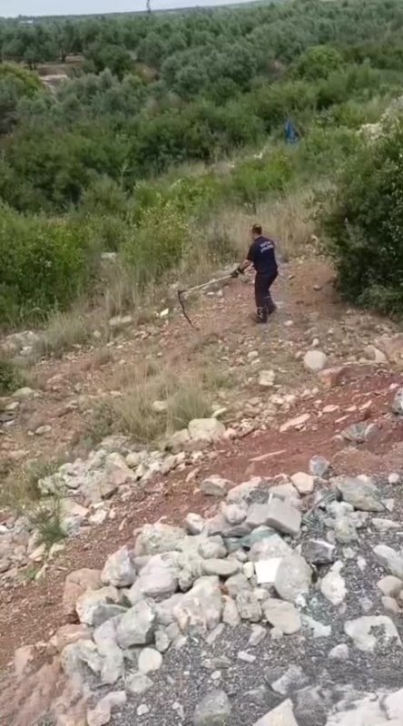 Kazan dairesinde yılan paniği