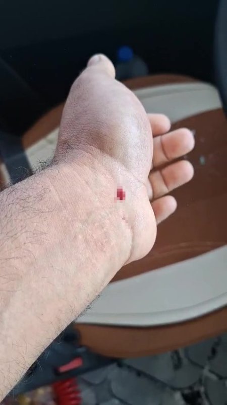 Yerel Haberler, Politika, Güvenlik, 3-sayfa, trafik, Hukuk, Arsuz, hatay, Son Dakika