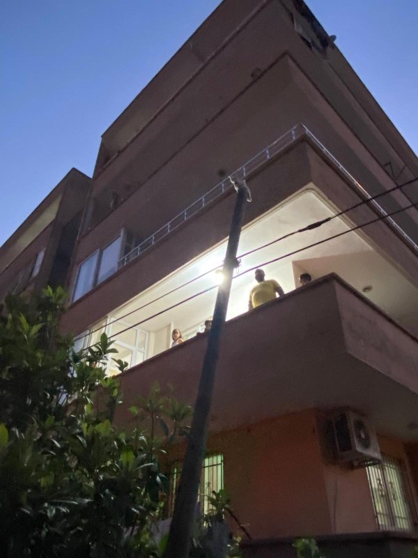 Balkondan atladığı direkte mahsur kalan kediyi itfaiye kurtardı