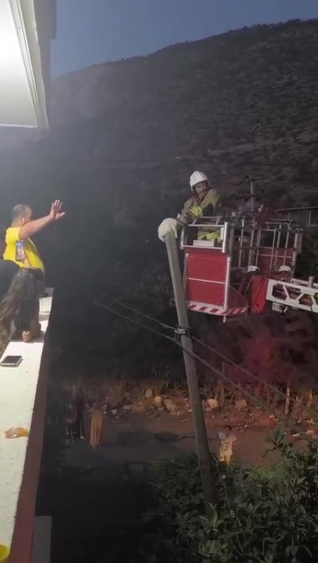 Balkondan atladığı direkte mahsur kalan kediyi itfaiye kurtardı