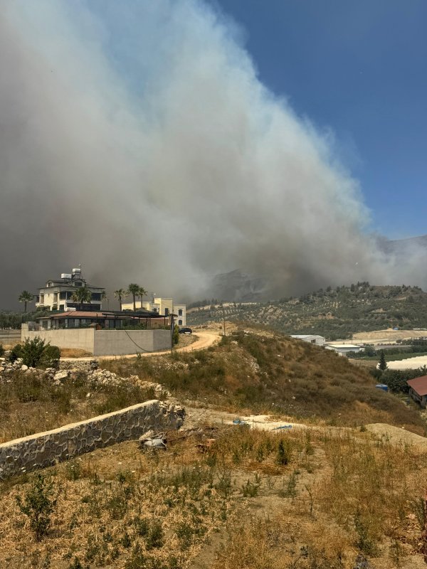 Hatay’da orman yangını