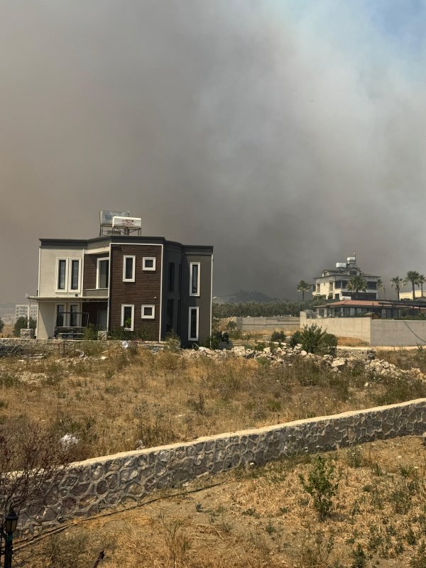 Hatay’da orman yangını