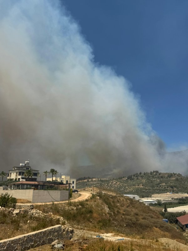 Hatay’da orman yangını