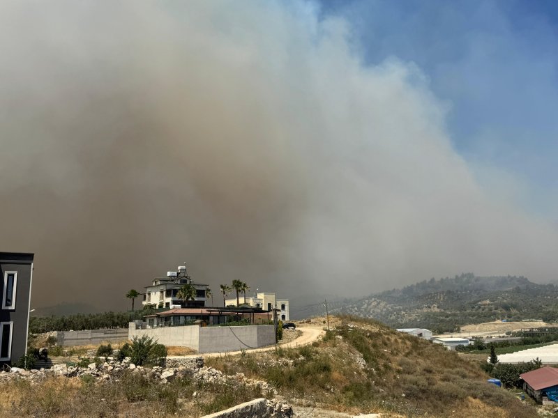 Hatay’da orman yangını
