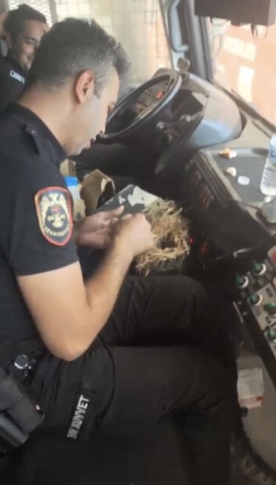 Yangının ortasından kuş yuvasını kurtardılar