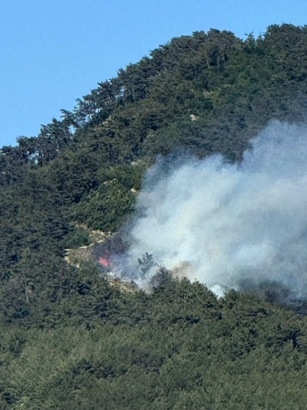 HATAY (İHA) - Hatay’da ormanlık alanda yangın çıktı. Dörtyol ilçesi Kırmızı Burun ile Çökek Yaylası arasında bulunan ormanlık alanda heniz belirlenemeyen bir sebeple yangın çıktı. Yangın rüzgar nedeniyle kısa sürede büyüme riski taşırken, Hatay Büyükşehir Belediyesi İtfaiye Daire Başkanlığı ile Dörtyol Orman İşletme Müdürlüğü ekipleri hızla bölgeye sevk edildi. Yangının kontrol altına alınması için su tankerlerinin de olduğu araçlarla yoğun bir müdahale sürdürülüyor.