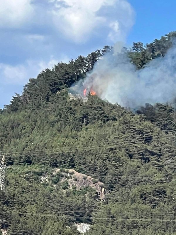 HATAY (İHA) - Hatay’da ormanlık alanda yangın çıktı. Dörtyol ilçesi Kırmızı Burun ile Çökek Yaylası arasında bulunan ormanlık alanda heniz belirlenemeyen bir sebeple yangın çıktı. Yangın rüzgar nedeniyle kısa sürede büyüme riski taşırken, Hatay Büyükşehir Belediyesi İtfaiye Daire Başkanlığı ile Dörtyol Orman İşletme Müdürlüğü ekipleri hızla bölgeye sevk edildi. Yangının kontrol altına alınması için su tankerlerinin de olduğu araçlarla yoğun bir müdahale sürdürülüyor.