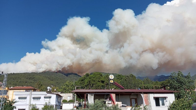 HATAY (İHA) - Hatay’da ormanlık alanda yangın çıktı. Dörtyol ilçesi Kırmızı Burun ile Çökek Yaylası arasında bulunan ormanlık alanda heniz belirlenemeyen bir sebeple yangın çıktı. Yangın rüzgar nedeniyle kısa sürede büyüme riski taşırken, Hatay Büyükşehir Belediyesi İtfaiye Daire Başkanlığı ile Dörtyol Orman İşletme Müdürlüğü ekipleri hızla bölgeye sevk edildi. Yangının kontrol altına alınması için su tankerlerinin de olduğu araçlarla yoğun bir müdahale sürdürülüyor.