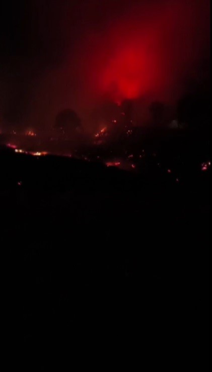 Yayladağı'nda ormanlık alanda çıkan yangın kontrol altına alındı