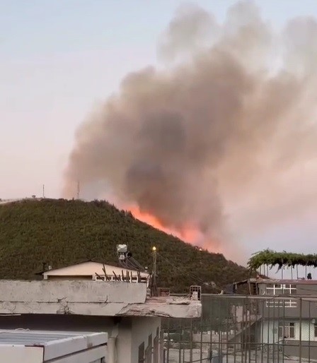 Yayladağı'nda ormanlık alanda çıkan yangın kontrol altına alındı