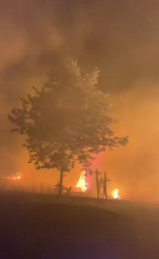 Hassa'da ormanlık alanda çıkan yangın kontrol altına alındı