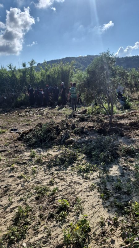 Aracıyla nehre düşen gencin cansız bedenine ulaşıldı