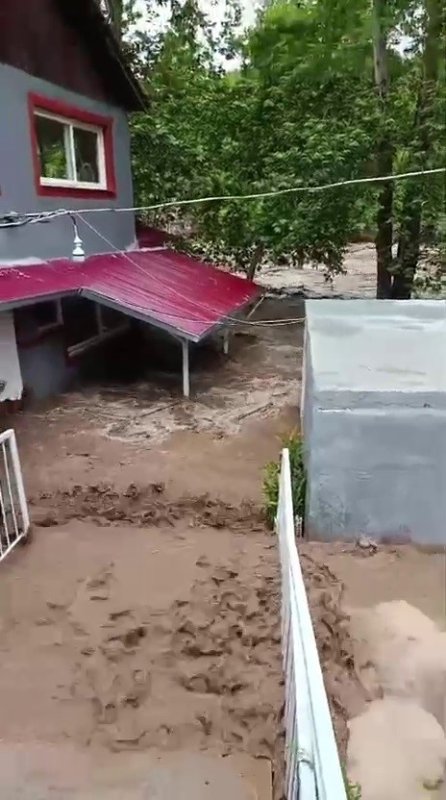 Aşırı yağışla birlikte taşan dere evleri su altında bıraktı