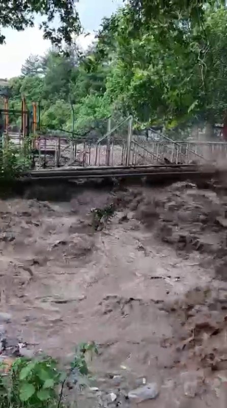Aşırı yağışla birlikte taşan dere evleri su altında bıraktı