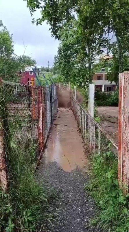 Aşırı yağışla birlikte taşan dere evleri su altında bıraktı