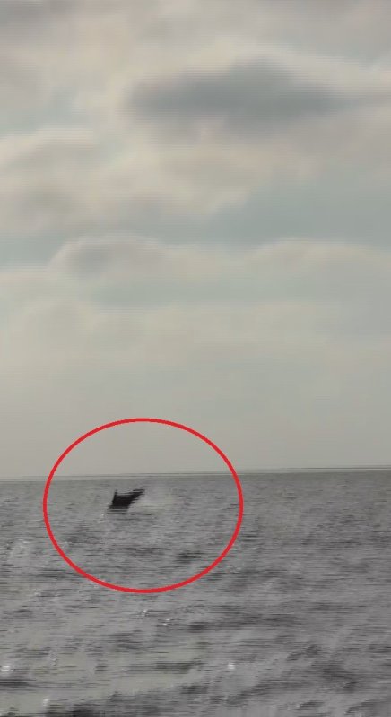 Akdeniz açıklarında balıkçı teknesini selamlayan yunuslar görüntülendi