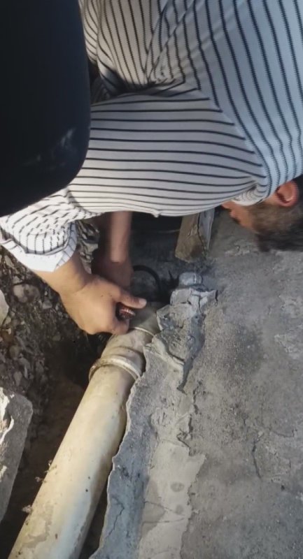 Bakmaya bile korkanlar varken o koluna dolanan 1 buçuk metrelik 2 yılanı saklandığı delikte yakaladı