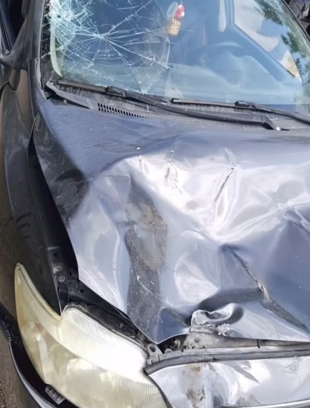 Yayladağı’nda trafik kazası: 2 yaralı (Fotoğraflı) İlayda Korkmaz HATAY (İHA) - Hatay'da otomobille çarpışarak devrilen motosikletten yere savrulan 2 kişi yaralandı. Kaza; Yayladağı ilçesi Sapanşı Mahallesi’nde yaşandı. Seyir halinde olan motosiklet, karşı yönden gelen motosikletle çarpıştı. Çarpışmayla birlikte motosikletten yere savrulan 2 kişi yere savruldu. Kazada motosikletten yere savrulan 2 genç yaralandı. Yaralı şahıslar olay yerindeki ilk müdahalenin ardından hastanede tedavi altına alındı. Şahıslardan birinin yoğun bakımda olduğu ve diğerinin hastanede tedavisinin devam ettiği öğrenildi. Jandarma ekipleri kazayla ilgili inceleme başlattı.