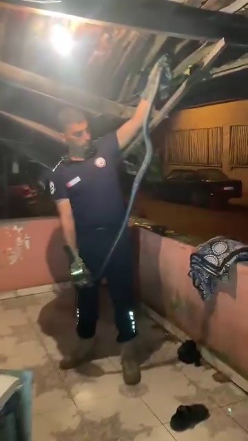 Bulaşık makinesine giren 2 metrelik karayılanı itfaiye çıkardı (Fotoğraflı) Esma Kural HATAY (İHA) - Hatay’da bulaşık makinesine giren ve paniğe neden olan 2 metrelik karayılan itfaiye ekipleri tarafından çıkarıldı. Dörtyol ilçesinde bulunan bir evde bulaşık makinesine yılan girdi. Durum karşısında panik yaşayan ve yılanı kendi imkanlarıyla çıkaramayan vatandaşlar durumu itfaiye ekiplerine bildirdi. Yılan, itfaiye ekiplerinin uzun süren çalışmalarıyla özel aparat ve eldivenle çıkartıldı. 2 metre uzunluğunda olduğu görülen karayılan, zarar verilmeden çıkarılan yılan doğaya bırakıldı.