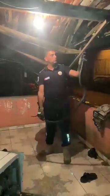 Bulaşık makinesine giren 2 metrelik karayılanı itfaiye çıkardı (Fotoğraflı) Esma Kural HATAY (İHA) - Hatay’da bulaşık makinesine giren ve paniğe neden olan 2 metrelik karayılan itfaiye ekipleri tarafından çıkarıldı. Dörtyol ilçesinde bulunan bir evde bulaşık makinesine yılan girdi. Durum karşısında panik yaşayan ve yılanı kendi imkanlarıyla çıkaramayan vatandaşlar durumu itfaiye ekiplerine bildirdi. Yılan, itfaiye ekiplerinin uzun süren çalışmalarıyla özel aparat ve eldivenle çıkartıldı. 2 metre uzunluğunda olduğu görülen karayılan, zarar verilmeden çıkarılan yılan doğaya bırakıldı.