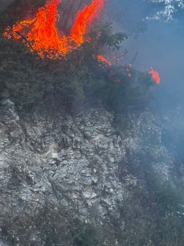Yayladağı'nda ormanlık alanda çıkan yangın kontrol altına alındı