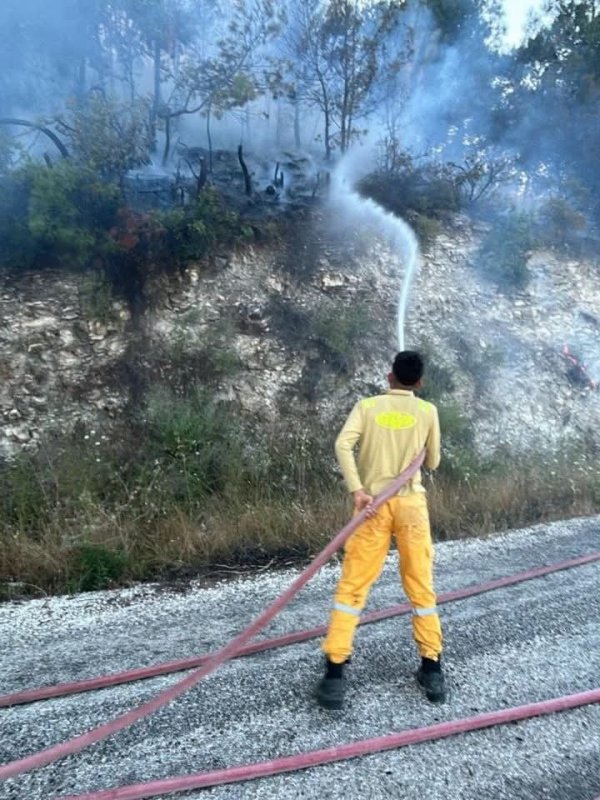 Yayladağı'nda ormanlık alanda çıkan yangın kontrol altına alındı