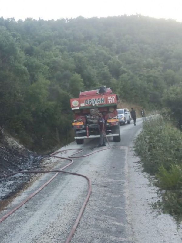 Yayladağı'nda ormanlık alanda çıkan yangın kontrol altına alındı