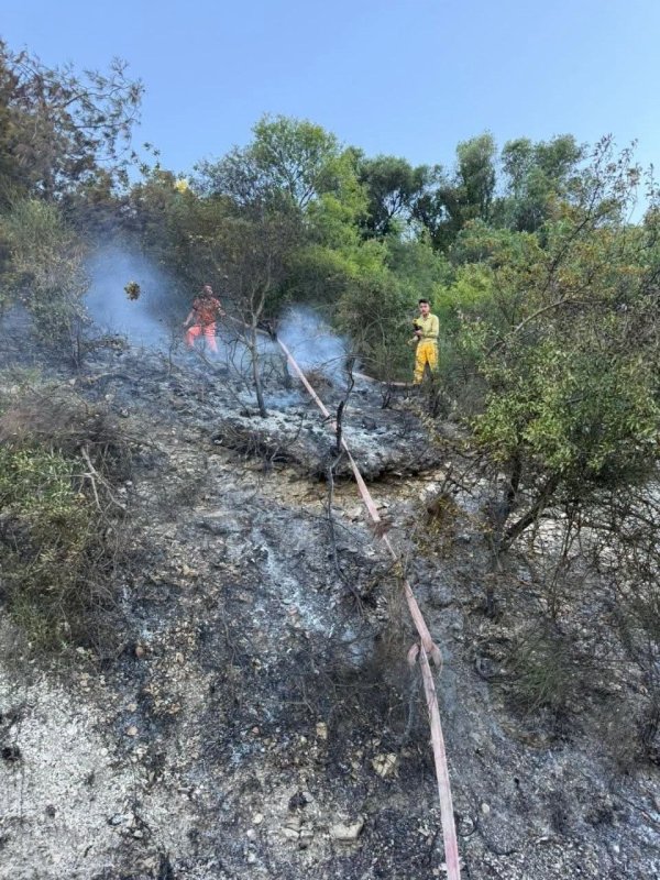 Yayladağı'nda ormanlık alanda çıkan yangın kontrol altına alındı