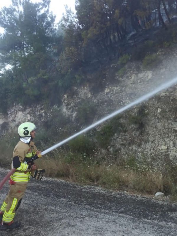 Yayladağı'nda ormanlık alanda çıkan yangın kontrol altına alındı