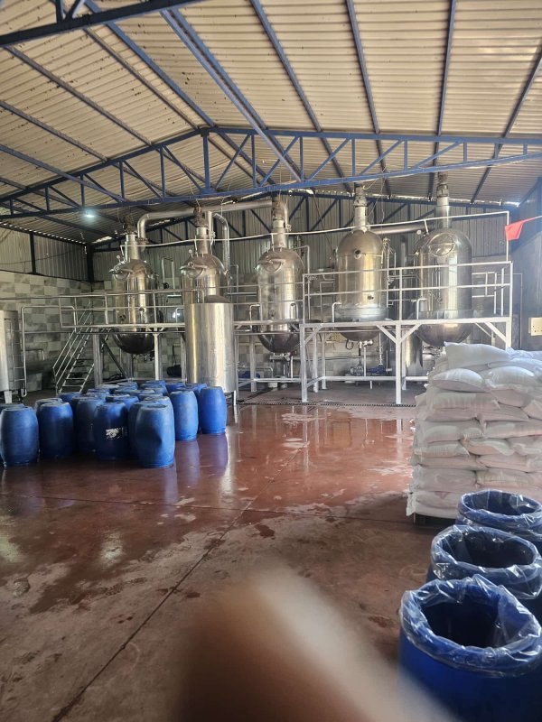KALİTE ÖDÜLLÜ KOZSAN SALÇA’DA YENİ SEZON BAŞLADI