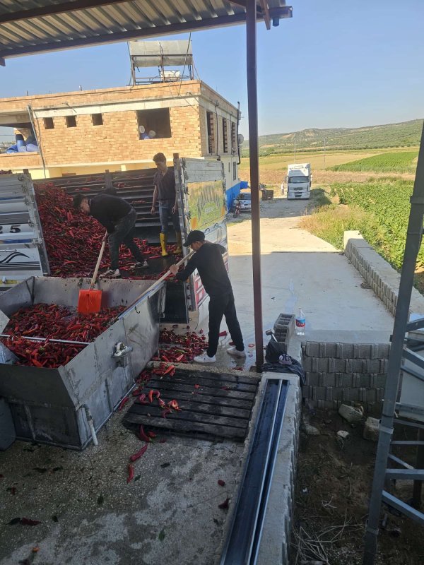 KALİTE ÖDÜLLÜ KOZSAN SALÇA’DA YENİ SEZON BAŞLADI