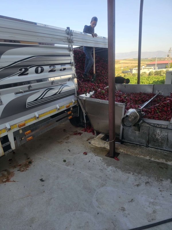 KALİTE ÖDÜLLÜ KOZSAN SALÇA’DA YENİ SEZON BAŞLADI