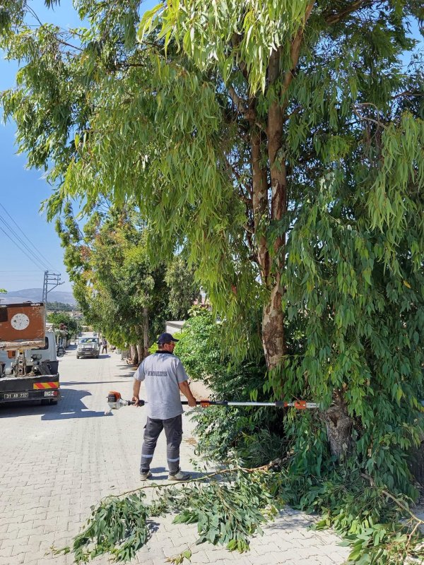 Antakya Belediye Başkanı İbrahim Naci Yapar, kent