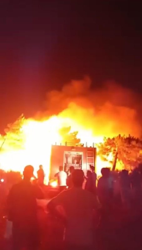 Hatay'da orman yangını